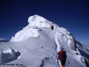 Everest N 8830.jpg (111357 Byte)
